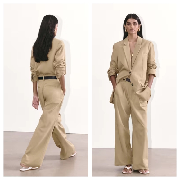 Everlane Pants - Everlane • The Draper Pleated Pant